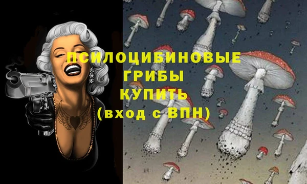 ешки Белоозёрский