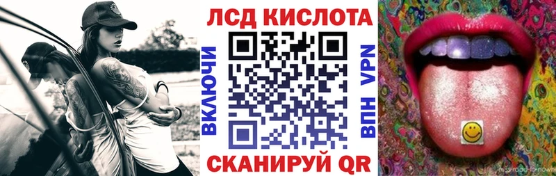 дарнет шоп  Бологое  Наркотические марки 1,8мг 