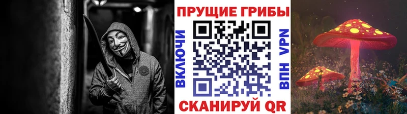 Псилоцибиновые грибы мицелий  blacksprut ссылка  Бологое 